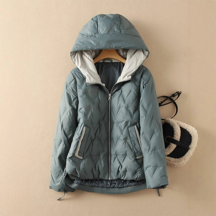 Aerie Down Coat